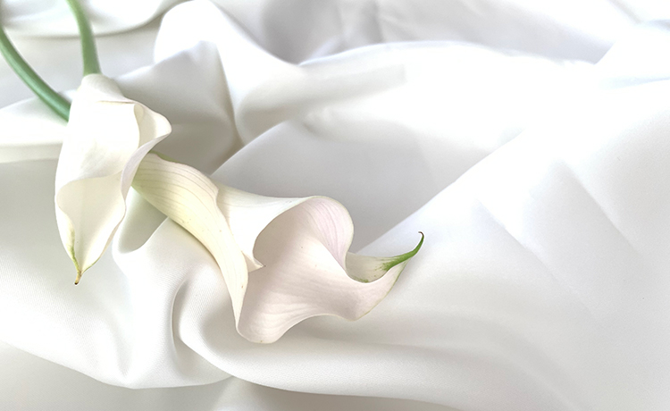 世代循環型スキンケア